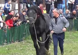 Тодоровден – яде се жито и постни печива