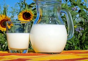 Плюсове и минуси на UTH млечните продукти