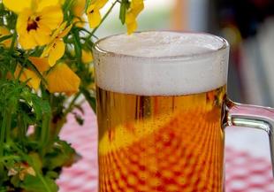 Хитър план за спасяване на чешката жива бира