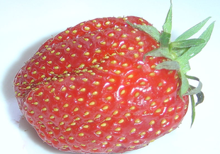 Пет причини защо да ядем ягоди
