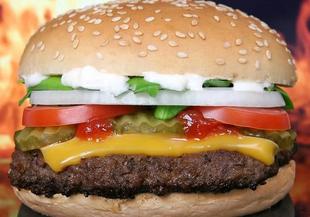 Каква е разликата между хамбургер и сандвич