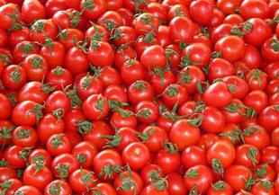 Подходящи видове домати за зимнина