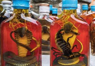 Азиатски алкохолни напитки с цяла змия, бебета мишки и животински части