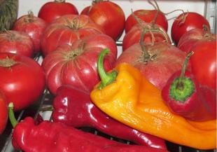 Акция – доматите и чушките в хладилника се развалят