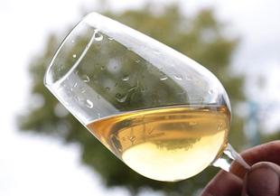Вино съвети за лаици - как и с какво се поднася бяло вино