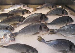 Цени на най-купуваните риби за Никулден