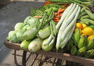 Краставица, домат и тиквичка – задължителни през лятото