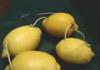 Как се прави лампа от лимони