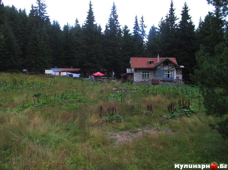 поляната пред хижа ловна в рила планина